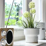 Jethon Studio-appartement Im Gruenen Bernburg