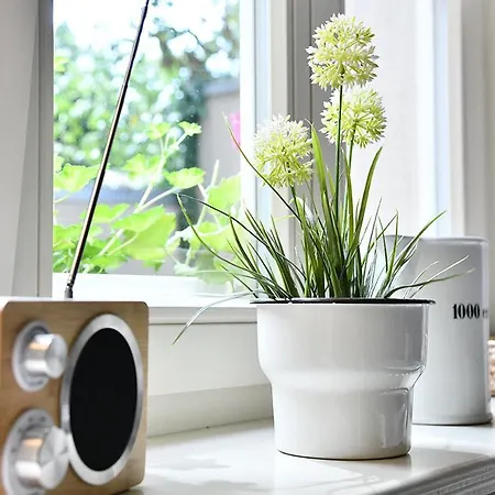 Jethon Studio-appartement Im Gruenen ベルンブルク